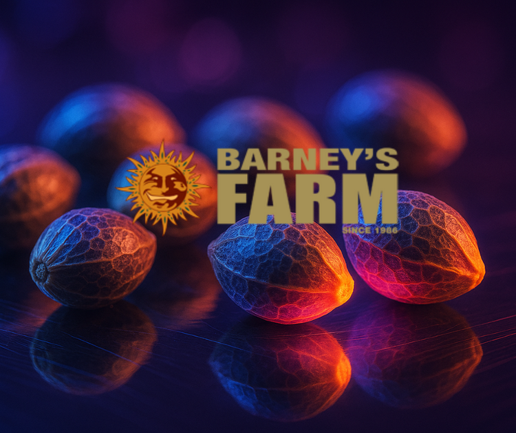 Barney’s Farm Cannabis Samen kaufen – feminisierte und autoflowering Hanfsamen mit Logo