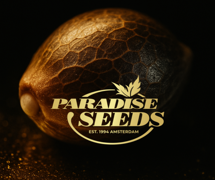 Paradise Seeds - Cannabis Samen - Weed Samen