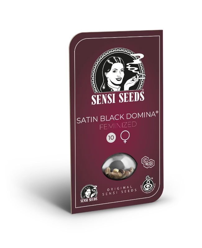 Satin Black Domina CBD Feminised
