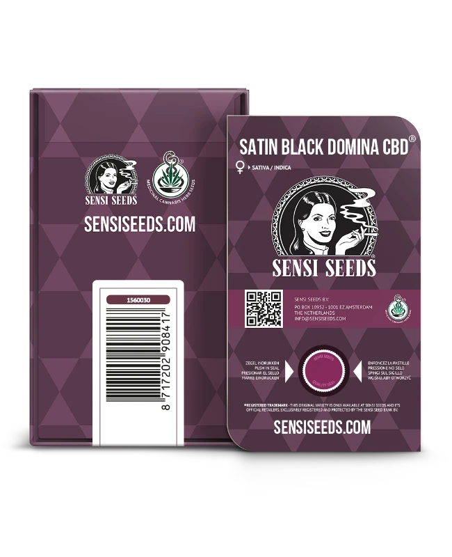 Satin Black Domina CBD Feminised