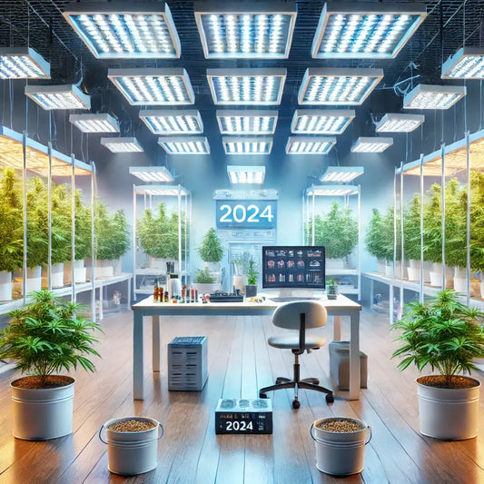 Professionelles Indoor-Cannabis-Anbausystem mit LED-Lichtern und gesunden Pflanzen – Headerbild für einen Blog über legalen Eigenanbau in Deutschland 2024.