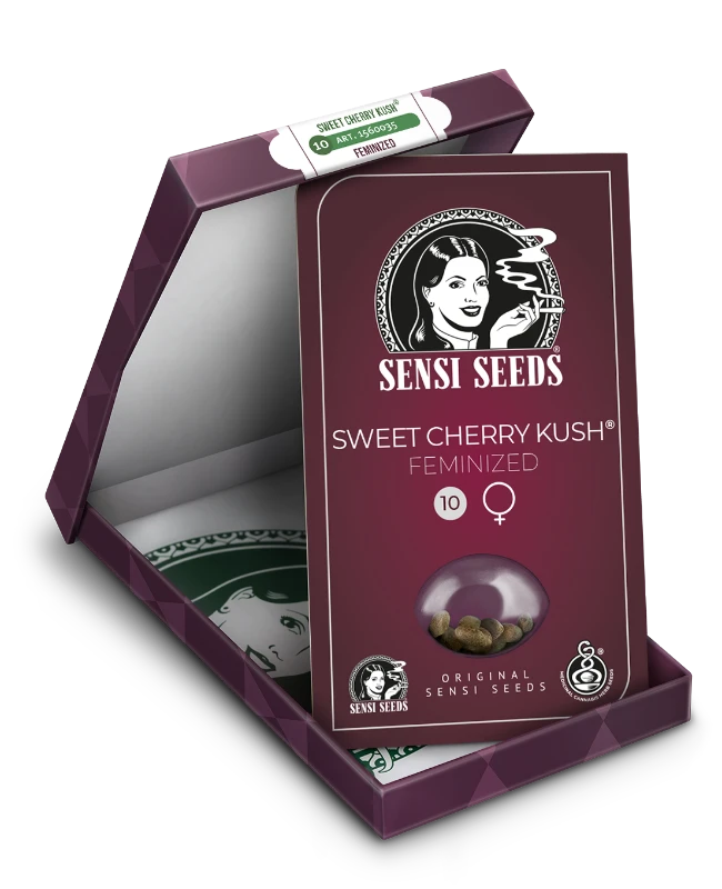 Sweet Cherry Kush Feminisiert